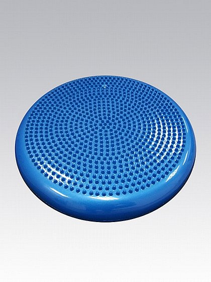 ���� ������ � Balance Training Disc
