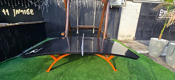 ����� FLY-BALL  ��� ���� ���� ��� : PRO