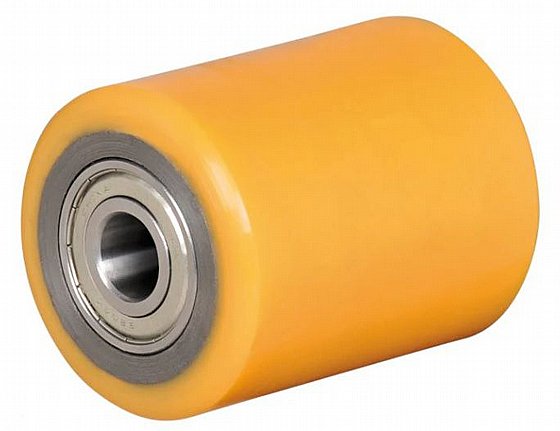 ���� ���� ����� ������